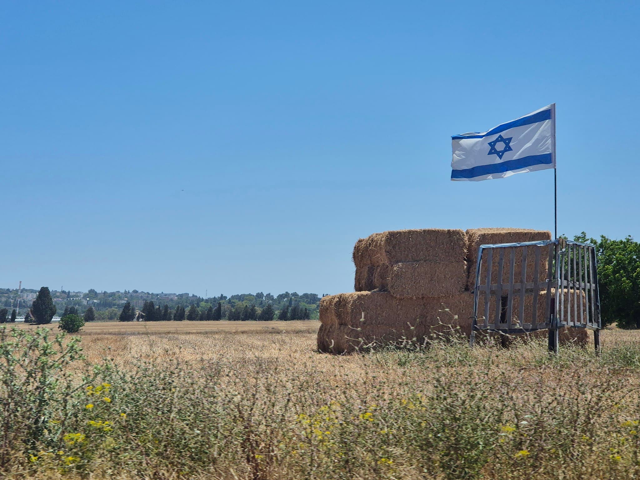 Israeli flag waving over golden wheat fields at sunset